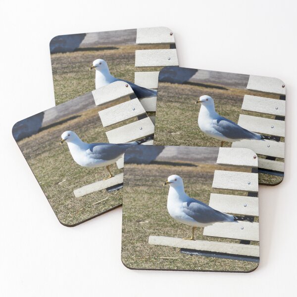 Item preview, A Gull Standing On A Bench designed and sold by BackyardBirder.