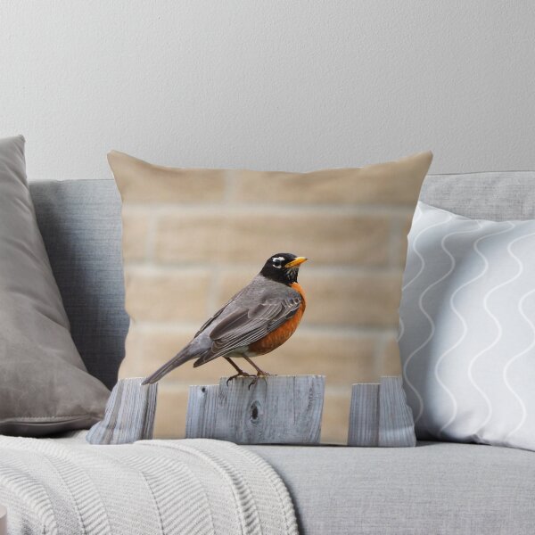 Item preview, An American Robin Standing On A Fence In My Backyard designed and sold by BackyardBirder.
