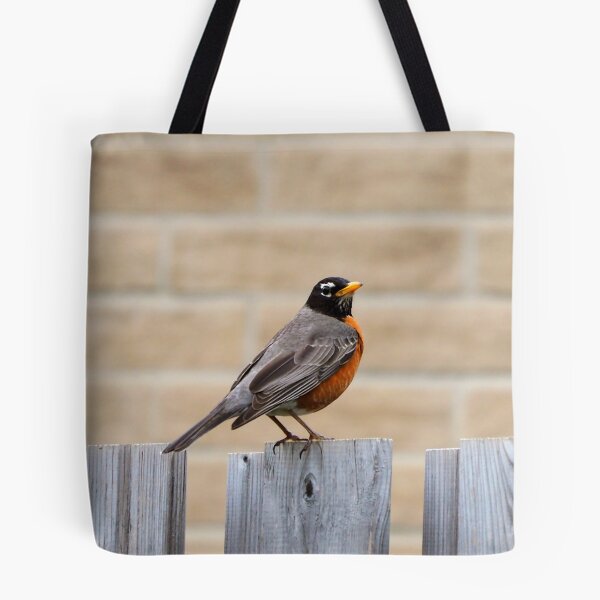 Item preview, An American Robin Standing On A Fence In My Backyard designed and sold by BackyardBirder.