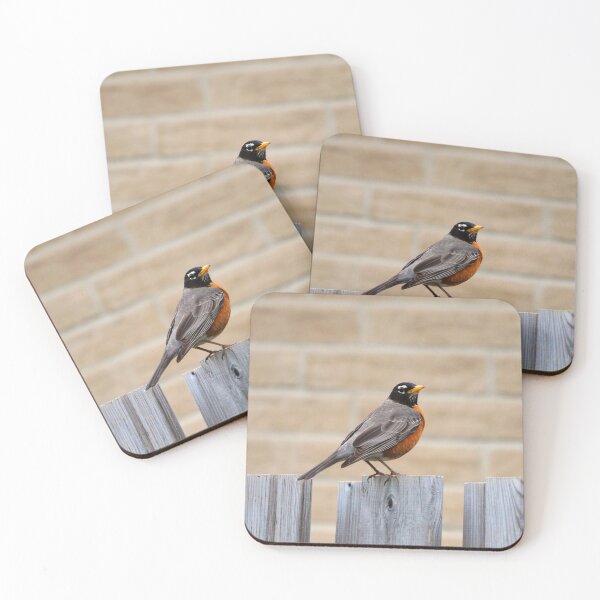 Item preview, An American Robin Standing On A Fence In My Backyard designed and sold by BackyardBirder.