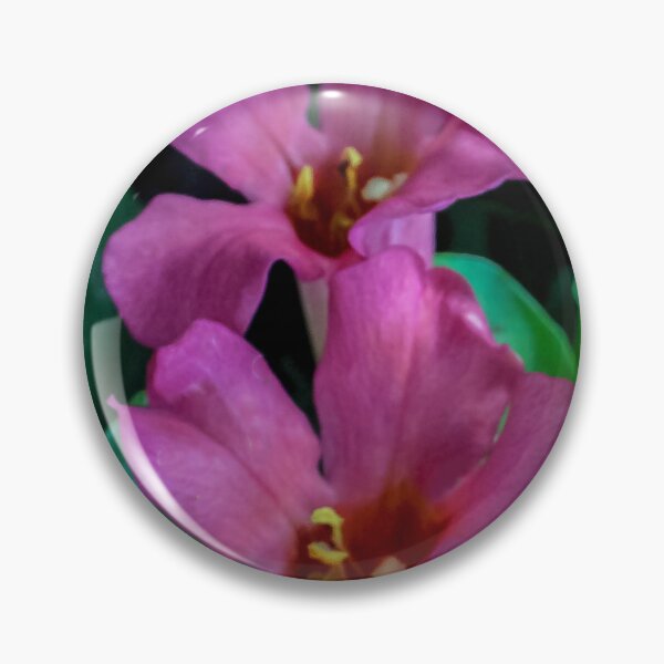Item preview, Trumpet Vine Playing Its Different Tones!  designed and sold by heatherfriedman.