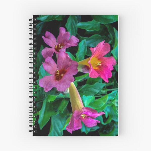 Item preview, Trumpet Vine Playing Its Different Tones!  designed and sold by heatherfriedman.