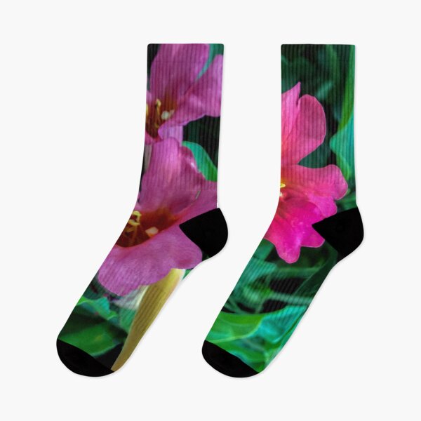 Item preview, Trumpet Vine Playing Its Different Tones!  designed and sold by heatherfriedman.