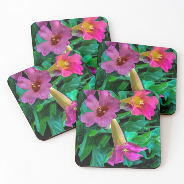 Item preview, Trumpet Vine Playing Its Different Tones!  designed and sold by heatherfriedman.