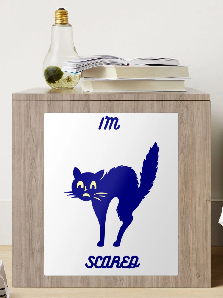 im scared cat Sticker for Sale by 360files
