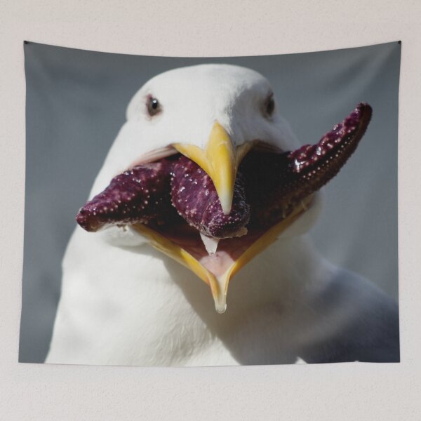 Item preview, Seagull eating a starfish designed and sold by Michaelerch.