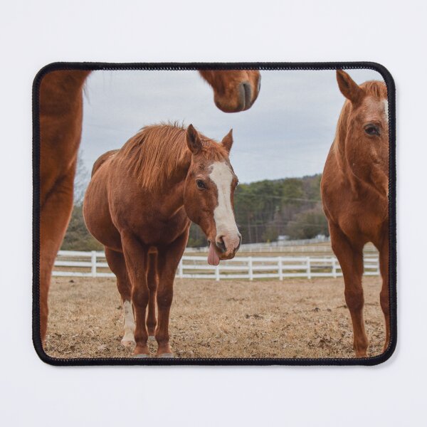 Item preview, sorrel horses in pasture designed and sold by sarelitay.