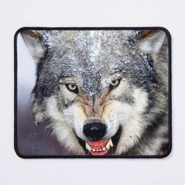 Item preview, Wolf designed and sold by MorningFive.