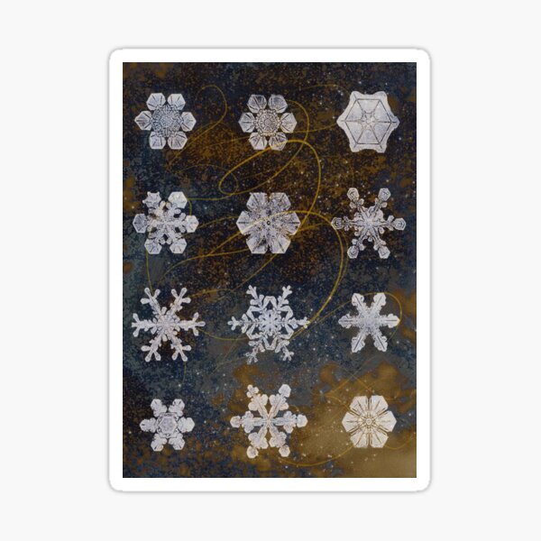 Schneeflocken Sticker