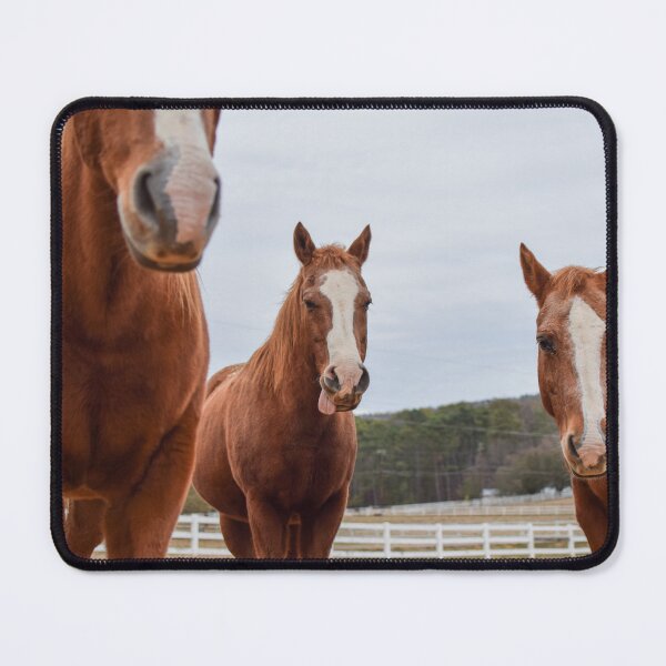 Item preview, horses in pasture designed and sold by sarelitay.