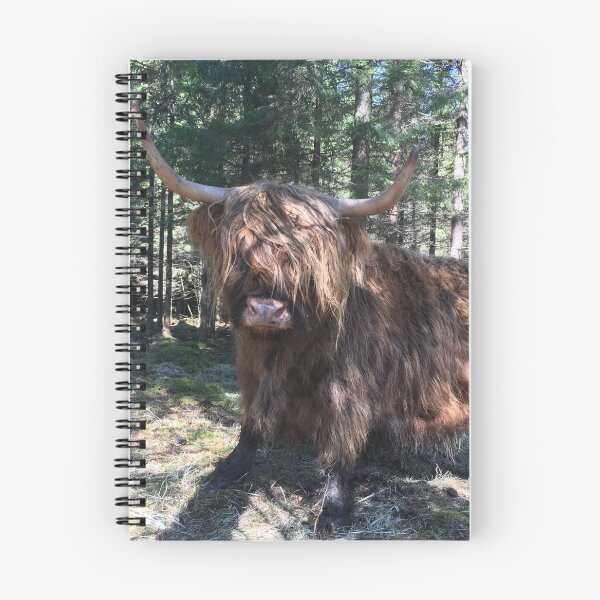 Item preview, Scottish Highland Cattle Cow 1103 designed and sold by SaarelaHighland.