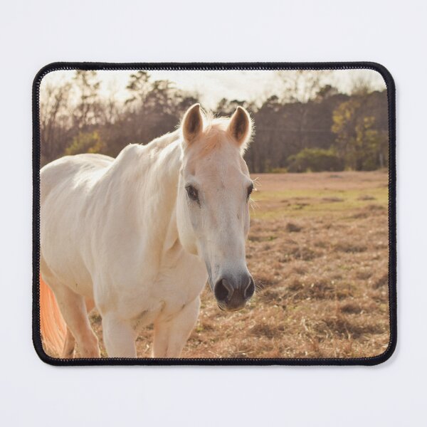 Item preview, grey horse designed and sold by sarelitay.