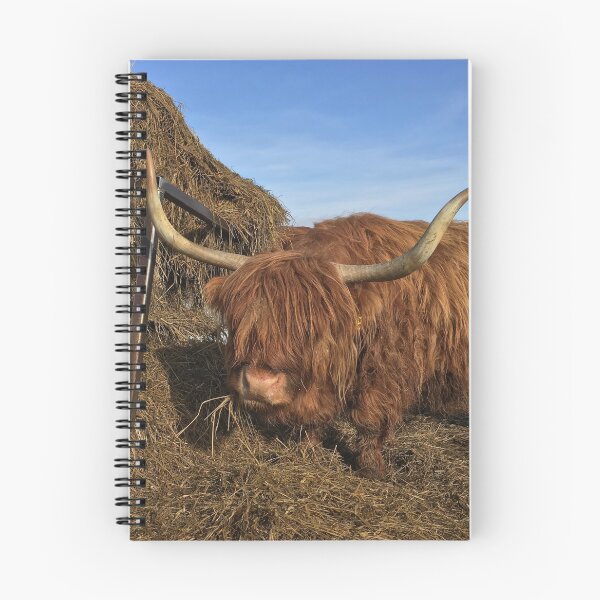 Item preview, Scottish Highland Cattle Cow 1086 designed and sold by SaarelaHighland.
