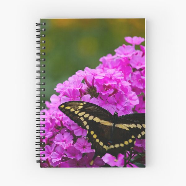 Item preview, Butterfly & Phlox designed and sold by debfaraday.
