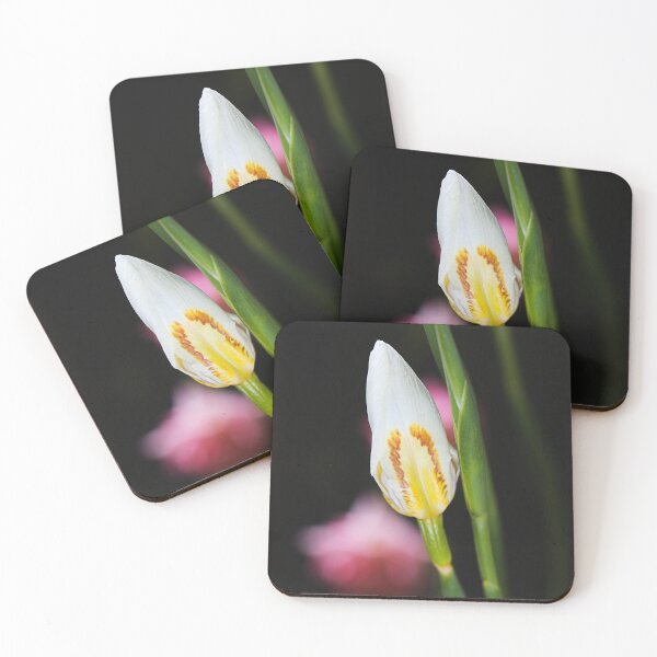Item preview, White Iris Bud Lush  designed and sold by Joy Watson - Natural Light Photography .