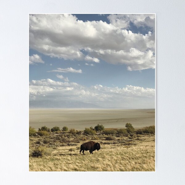 Item preview, Buffalo Bison designed and sold by chelseavictoria.