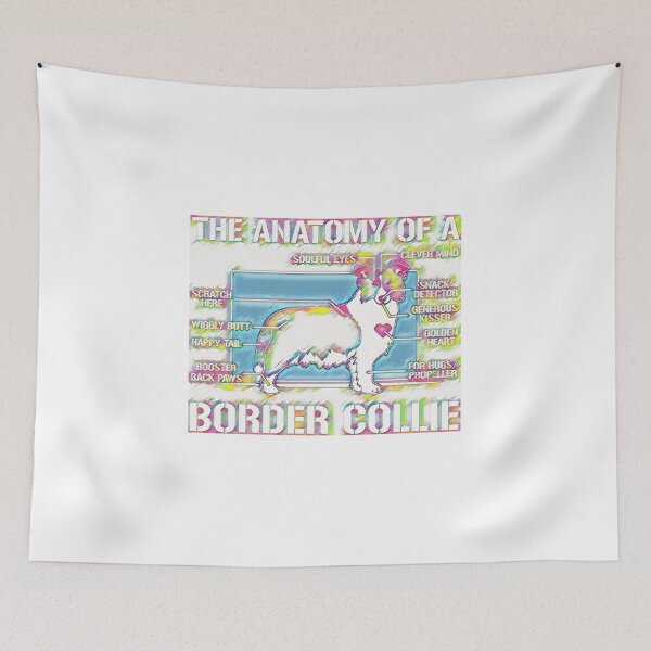 Item preview, Colorful anatomy of a border collie designed and sold by AKR-Hobby.