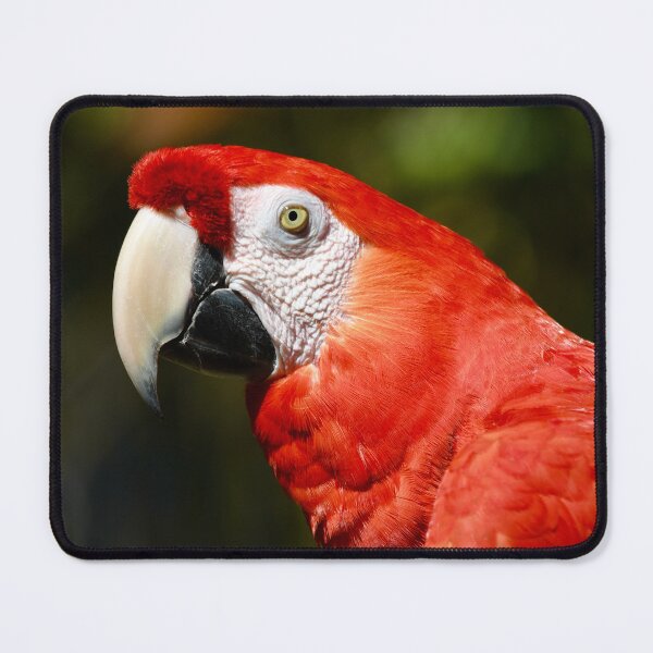 Item preview, Handsome Scarlet Macaw designed and sold by richardbryce.