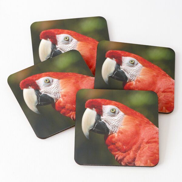 Item preview, Handsome Scarlet Macaw designed and sold by richardbryce.