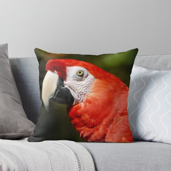 Item preview, Handsome Scarlet Macaw designed and sold by richardbryce.