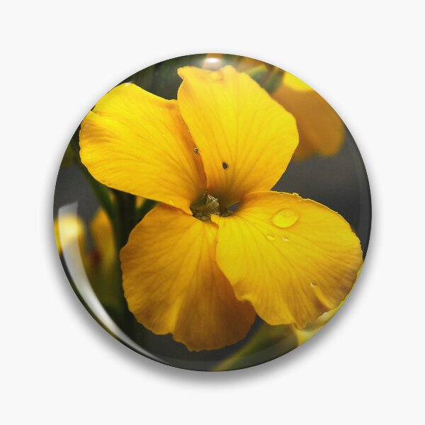 Item preview, Morning dew on flower petals designed and sold by alanoix.