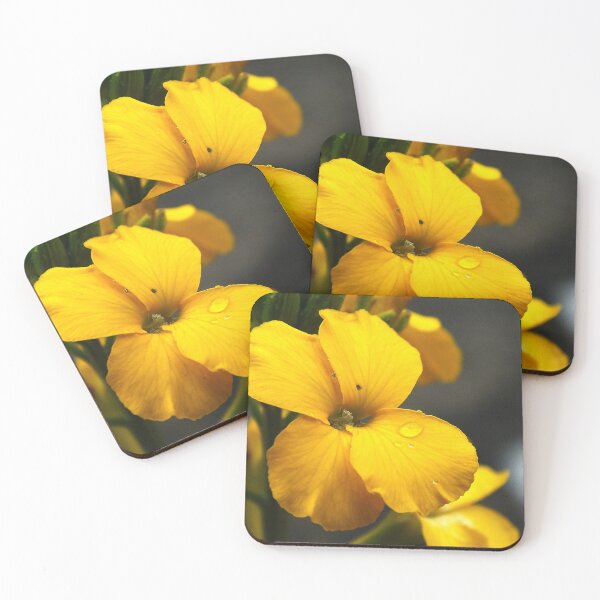 Item preview, Morning dew on flower petals designed and sold by alanoix.