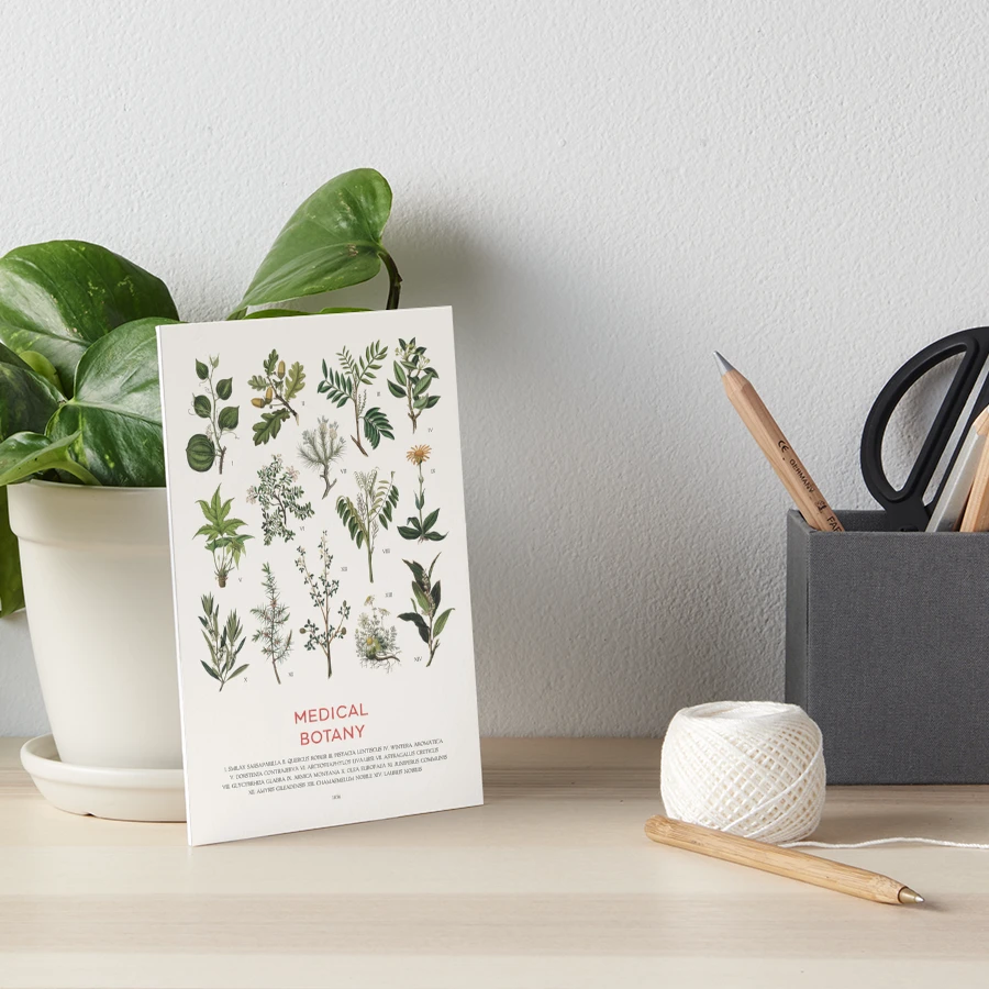 medicinal-plants-chart-art-board-print-for-sale-by-vintagrafica-redbubble