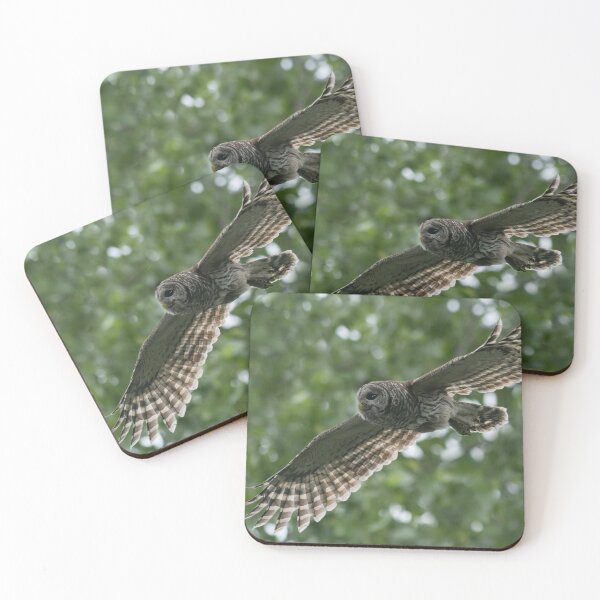 Item preview, Magic Flight designed and sold by Puttaswamy Ravishankar.