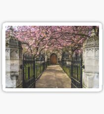 Springtime Sticker