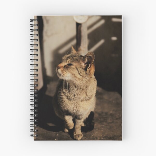 Item preview, Mia the cat II designed and sold by Michael Hofmann.