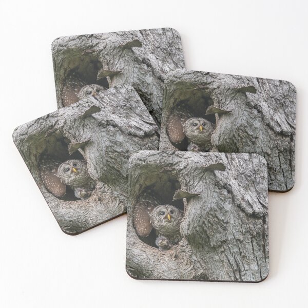 Item preview, Mama owl Getting Ready to Stash Food designed and sold by Puttaswamy Ravishankar.