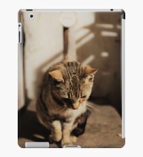 Mia the cat III iPad-Hülle & Skin