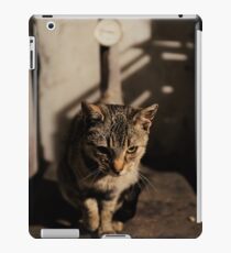 Mia the cat IV iPad-Hülle & Skin