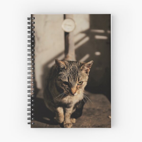 Item preview, Mia the cat IV designed and sold by Michael Hofmann.