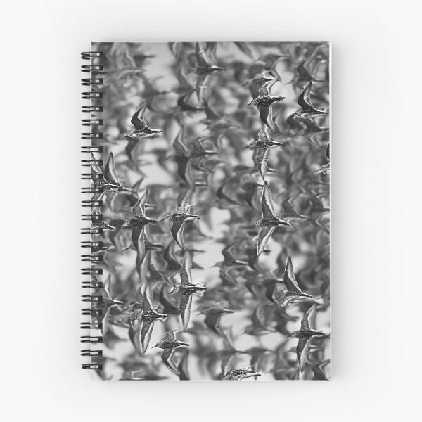 Item preview, Rhythmic Motion designed and sold by Puttaswamy Ravishankar.
