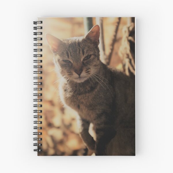 Item preview, Mia the cat V designed and sold by Michael Hofmann.