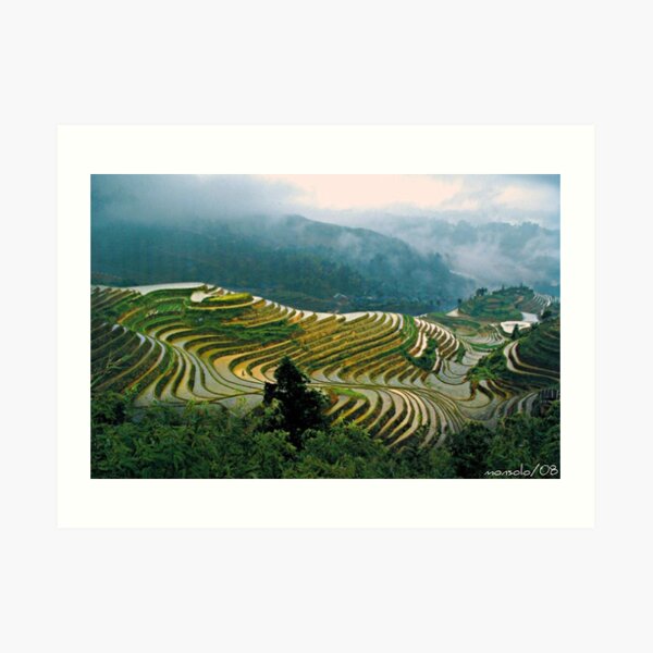Rice Terraces(Banaue,Phil.) Art Print