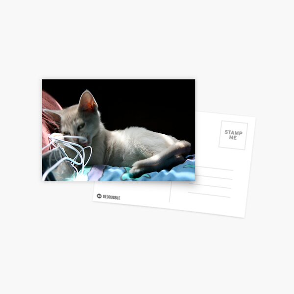 Scout Postcard
