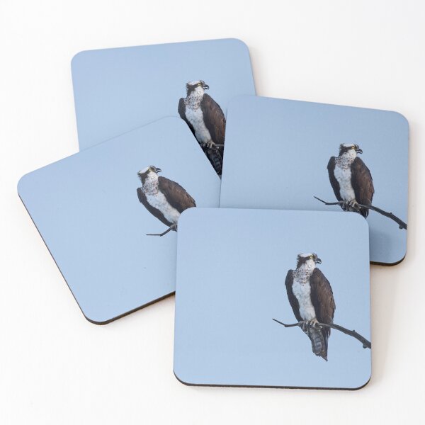 Item preview, Osprey designed and sold by Puttaswamy Ravishankar.