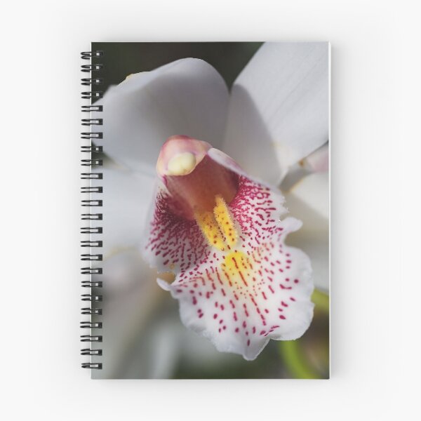 Item preview, Wonder Of Orchid designed and sold by Joy Watson - Natural Light Photography .
