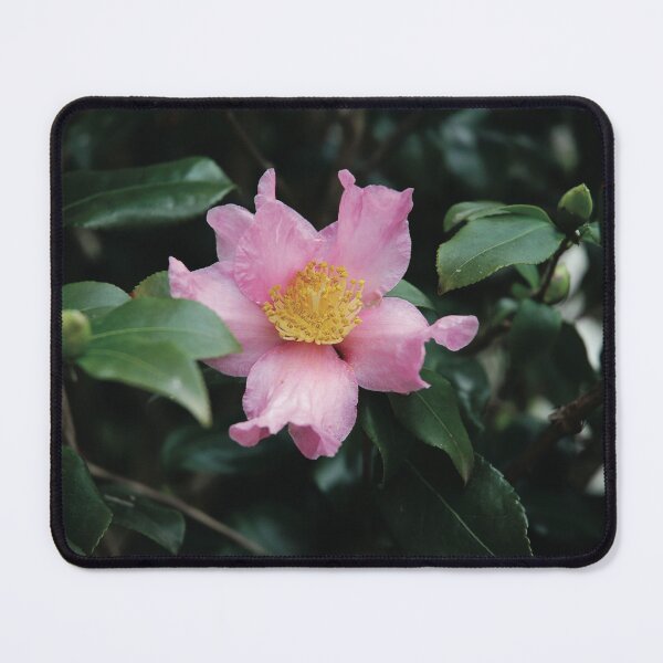 Item preview, Floral beauty designed and sold by Nerone.