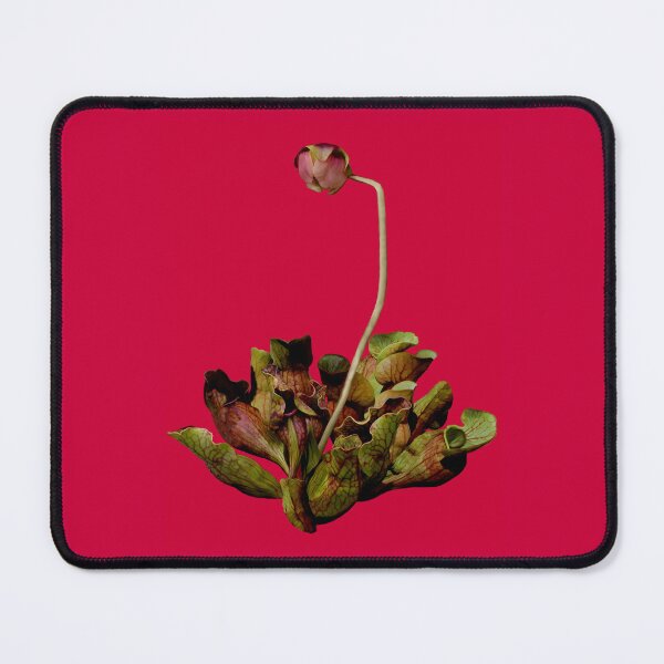 Item preview, Pitcher Plant Red Background. designed and sold by Anthony Seeker.