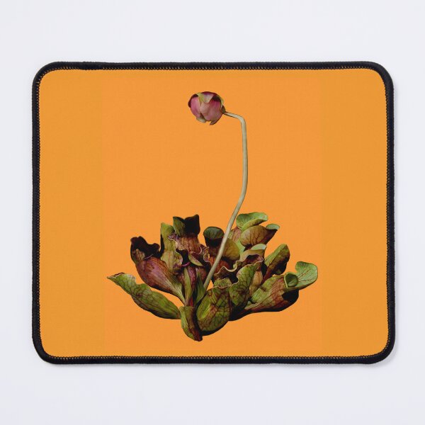 Item preview, Pitcher Plant Orange Background. designed and sold by Anthony Seeker.