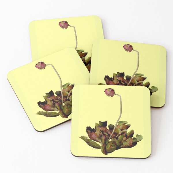Item preview, Pitcher Plant Yellow Background. designed and sold by Anthony Seeker.