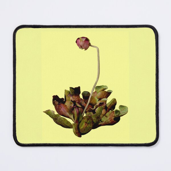 Item preview, Pitcher Plant Yellow Background. designed and sold by Anthony Seeker.