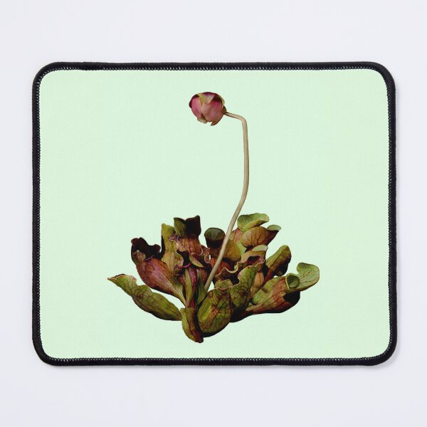 Item preview, Pitcher Plant Green Background. designed and sold by Anthony Seeker.