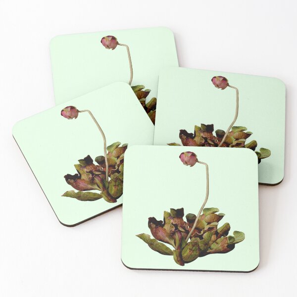 Item preview, Pitcher Plant Green Background. designed and sold by Anthony Seeker.