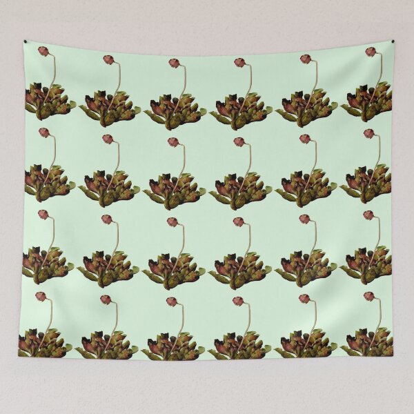 Item preview, Pitcher Plant Green Background. designed and sold by Anthony Seeker.