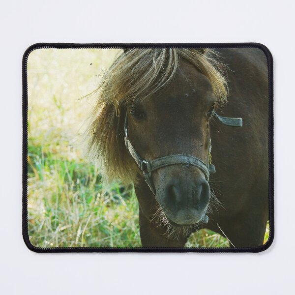 Item preview, Sweet Little Pony in the Farm - Vintage Rural Photography designed and sold by CarolinaReina.