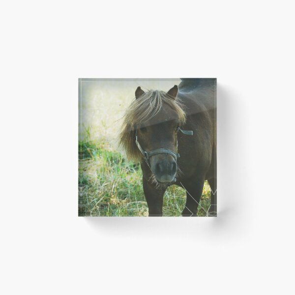 Item preview, Sweet Little Pony in the Farm - Vintage Rural Photography designed and sold by CarolinaReina.